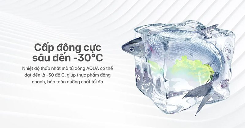 Tủ đông Aqua cấp đông cực sâu đến -30°C
