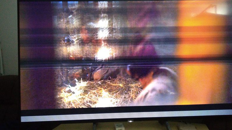 Tivi Aqua bị lỗi màn hình do bị sọc màn hình