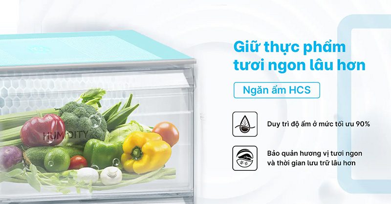 Ngăn giữ ẩm HCS duy trì độ ẩm tối ưu 90%