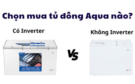 so sánh tủ đông Aqua Inverter và Aqua thường