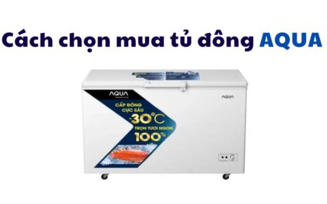 Cẩm nang chọn mua tủ đông Aqua