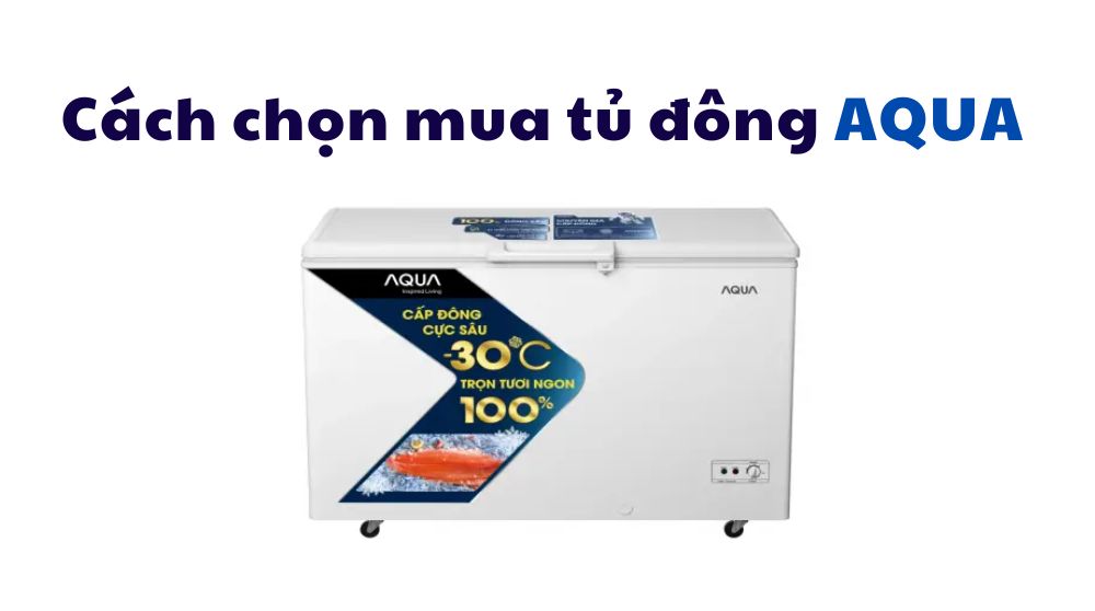 Cẩm nang chọn mua tủ đông Aqua