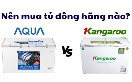 so sánh tủ đông Aqua và Kangaroo