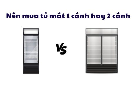 Nên Mua Tủ Mát 1 Cánh Hay 2 Cánh