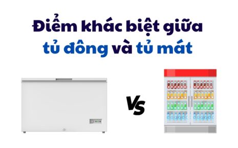 điểm Khác Biệt Giữa Tủ đông Và Tủ Mát