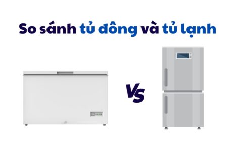 So Sánh Tủ đông Và Tủ Lạnh