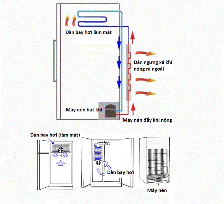Nguyên lý làm việc của tủ lạnh Aqua   
