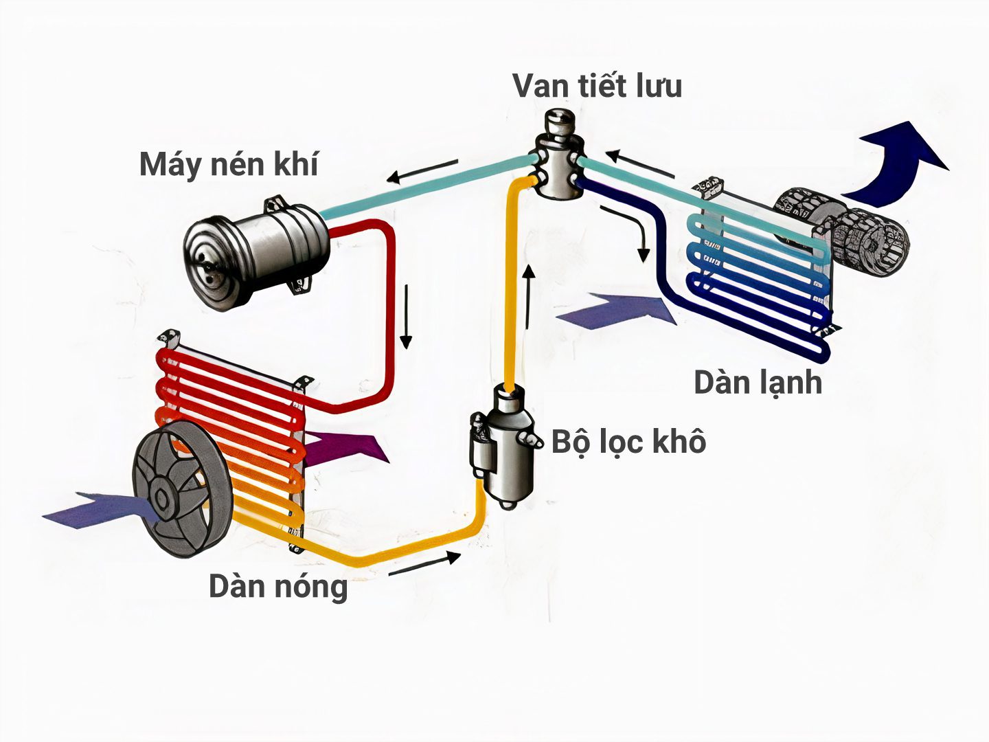 Nguyên lý hoạt động của tủ đông Aqua 