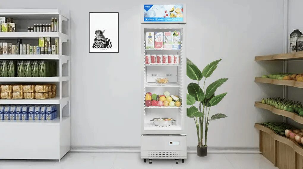 Đặt tủ mát Aqua ở vị trí bằng phẳng